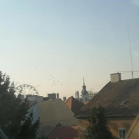 Ujkapu Sunshine * Gyor