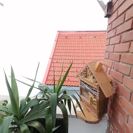 Apartmán Ujkapu Sunshine Ráb