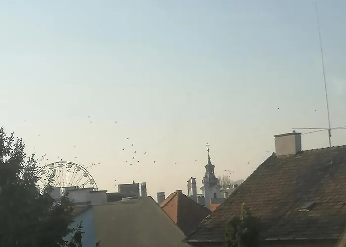 Ujkapu Sunshine * غيور